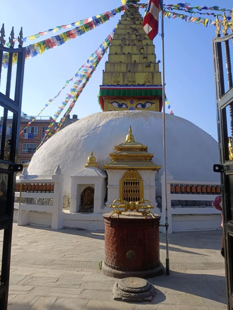 264d1337 1e70 442a 87a5 26d4b084ed20 1 all 124