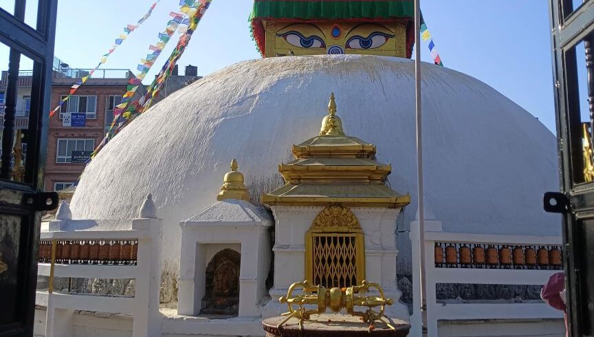 264d1337-1e70-442a-87a5-26d4b084ed20-1_all_124