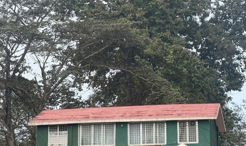 Bardiya National Park – Wildlife Safari Adventure in Nepal